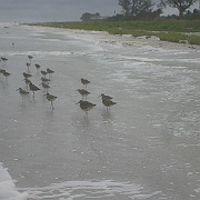 Picture 057
